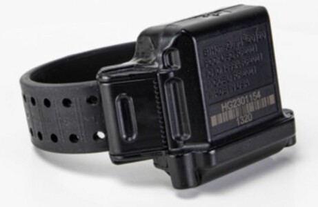 3 Main Types of Ankle Monitor & How They Work | Full Guide ...